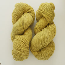 Load image into Gallery viewer, Shetland Silk Fingering &#39;Mustard Seed&#39;
