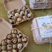 Load image into Gallery viewer, Quail Eggs - 24 Ct
