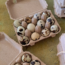 Load image into Gallery viewer, Quail Eggs - 12 Ct

