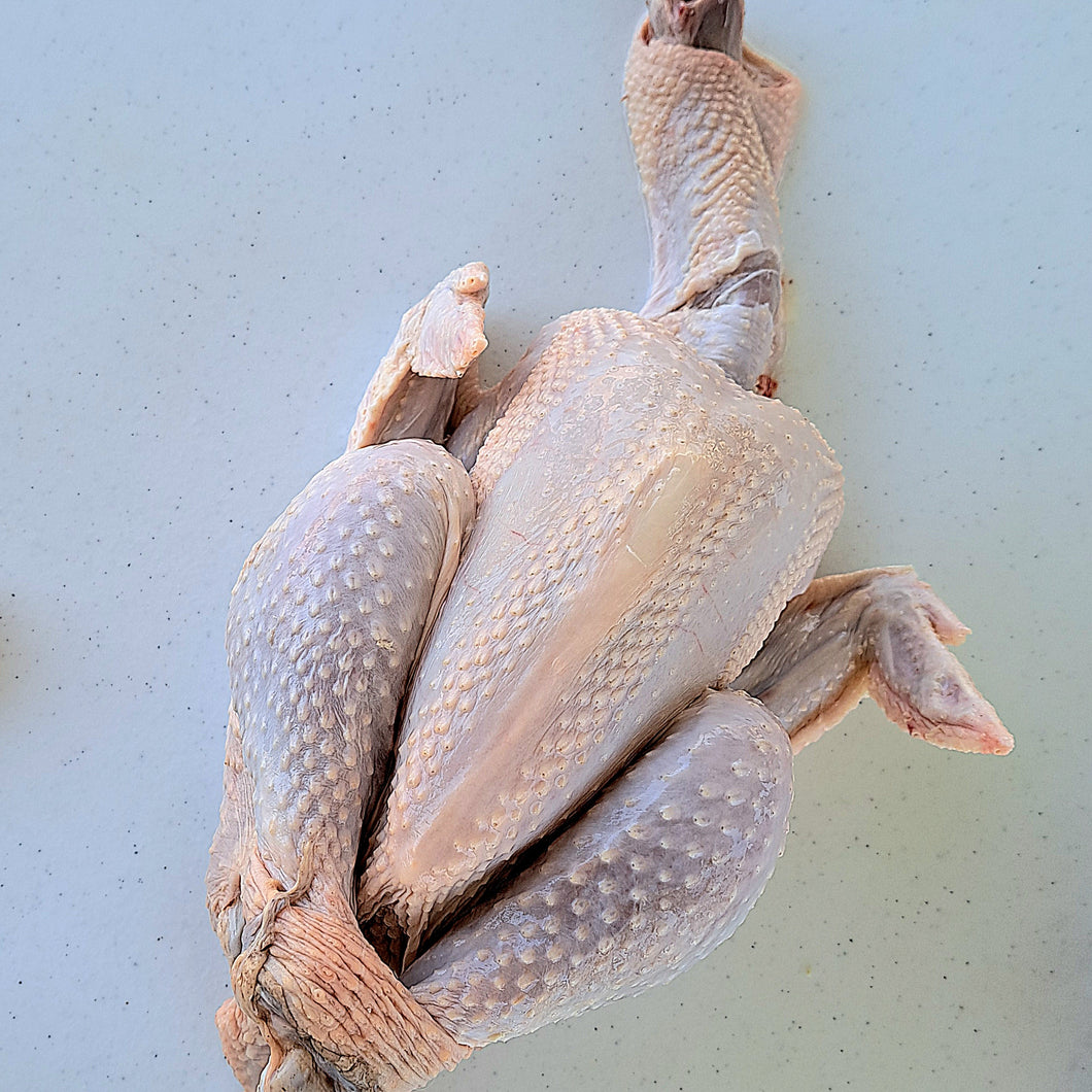 Chicken Sasso Whole Free Range