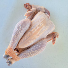 Load image into Gallery viewer, Chicken Sasso Whole Free Range
